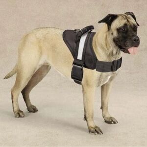 Guardian Gear “excursion harness” size large-NIB